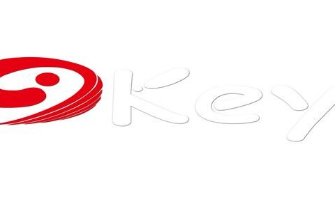 #剑锋随访#成都九越网络科技–打豆豆