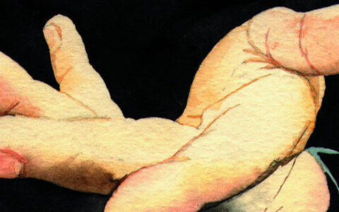 李健：做投资就像找对象 要志同道合