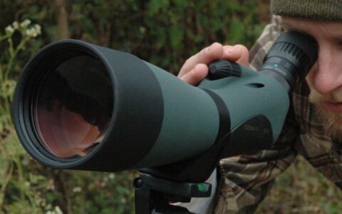 #游戏茶馆日报#北纬股价跌停或因王巍离职创业