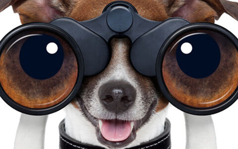 #游戏茶馆日报#炒陈饭 游戏包月收费还能再流行吗？