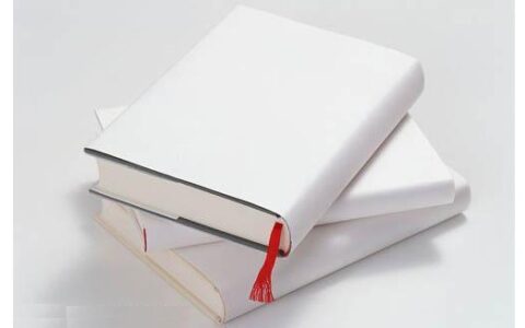 韩国手游白皮书：2013韩国手游市场规模将达70亿人民币