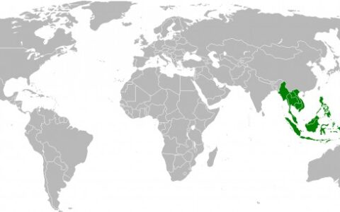 #海外嗅觉# 东南亚游戏市场主力仍为PC游戏 手游仅占25%
