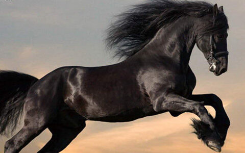 #游戏茶馆年末盘点之一#2013成都手游十大黑马