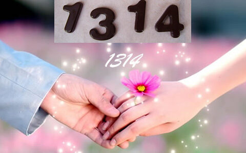 手游行业的“1314”