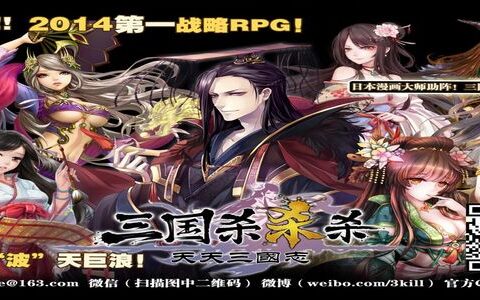 #New Game Show#战略RPG+三国杀杀杀