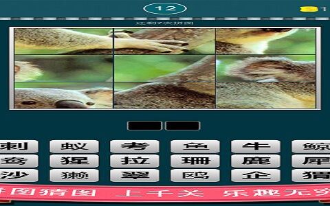 #New Game Show#益智社交+天天疯狂猜图合集