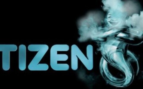 #快讯# 维动科技获首届Tizen全球挑战赛游戏类第一名