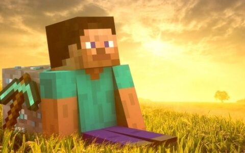 《我的世界》玩家分析报告