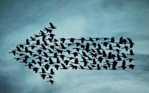 明星代言手游如买椟还珠 用户来了又去