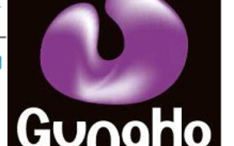 GungHo第一季度财报：销售额499亿，同比上涨61%