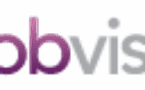 Mobvista Network Co., Ltd(匯聚網絡有限公司)