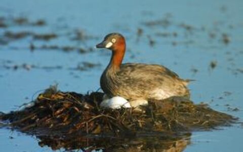 手游CP说：产品做出来了，我们该怎么办？