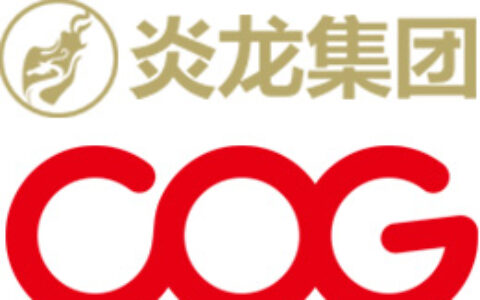 成都炎龙科技有限公司