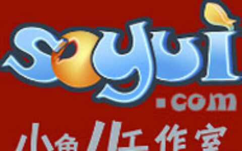 大连思为拓科技有限公司