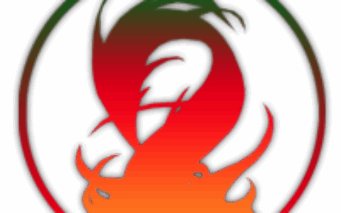 武汉龙纹网络科技有限公司