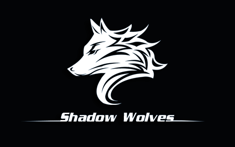 上海影狼网络科技有限公司