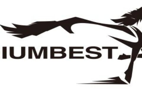 北京楚枫网络科技有限公司