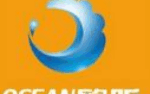 上海欧昕信息技术有限公司