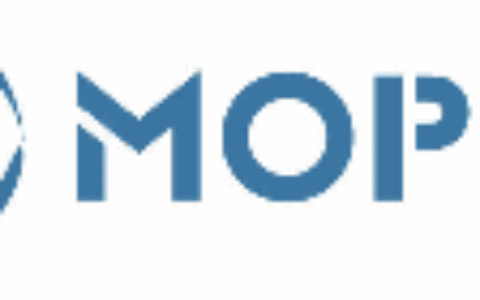 上海摩普网络技术有限公司