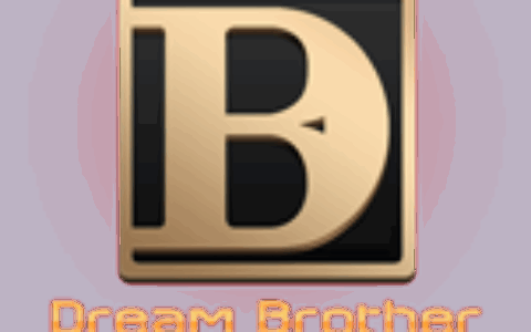 成都梦想兄弟网络技术有限公司