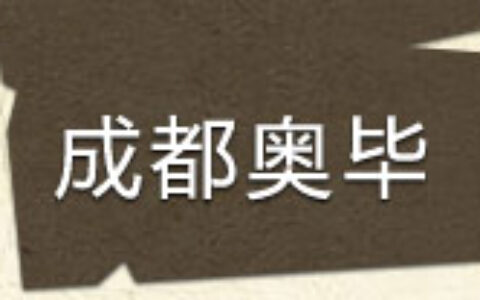 成都奥毕信息有限公司