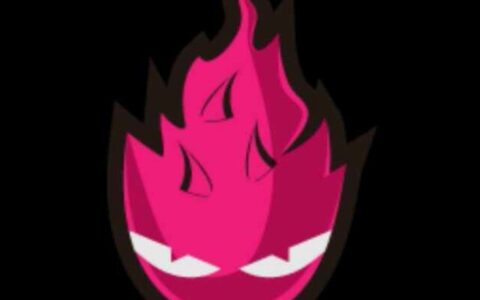 北京红龙果信息科技有限公司