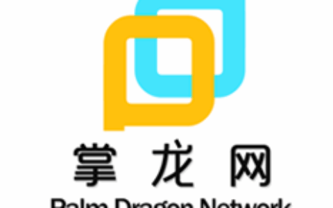 厦门掌龙网络科技有限公司