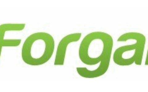 Forgame集团（云游控股有限公司）