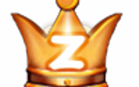 上海臣荣信息科技有限公司