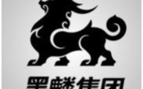 深圳墨麟科技有限公司