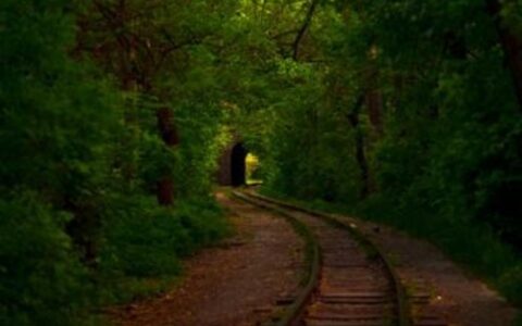 佳伦说：手游“冬天论”为时尚早