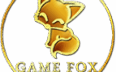 上海游狐信息技术有限公司