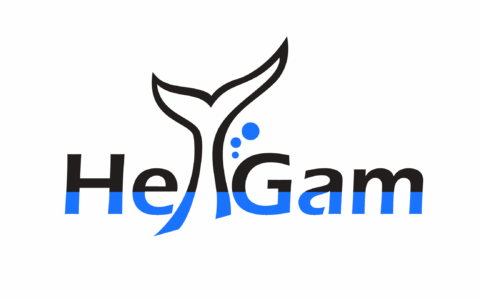 深圳市黑鲸网络科技有限公司