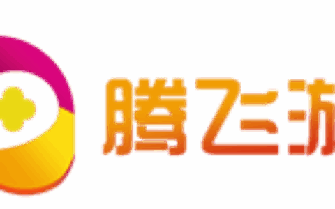 湖南网圣腾飞信息技术有限公司