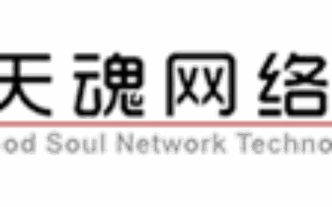 苏州天魂网络科技股份有限公司