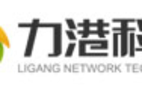 桂林力港科技网络科技有限公司（广州分公司）