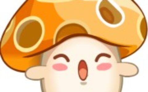 广州尚游网络科技有限公司