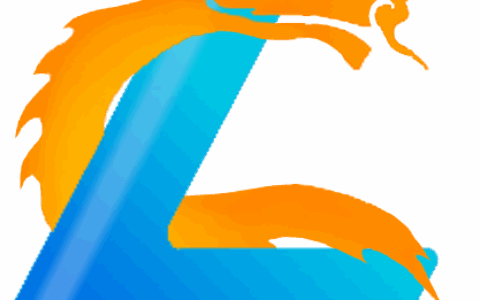 上海螭龙网络科技有限公司