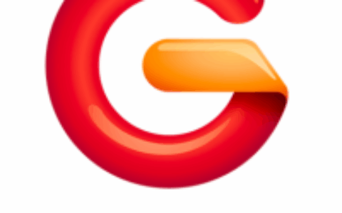 盛大游戏有限公司