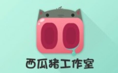 西瓜猪工作室