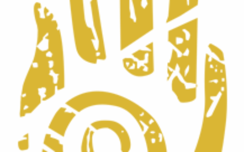 天津掌金互动科技有限公司