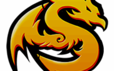 福州赛柏林克网络科技有限公司