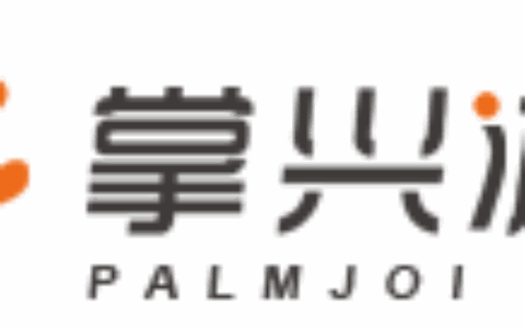 上海掌兴信息科技有限公司