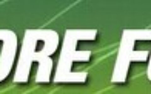 猫饭游戏工作室