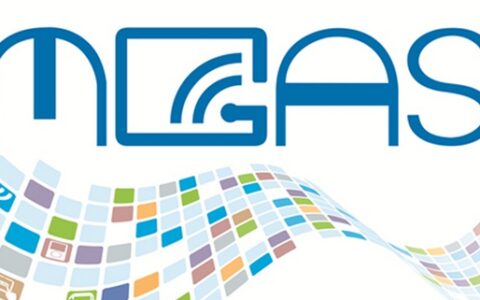 #MGAS#大佬观点折射2015各方竞争升级