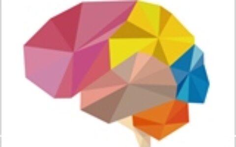 《脑力战争》：八个月突破千万下载的益智游戏