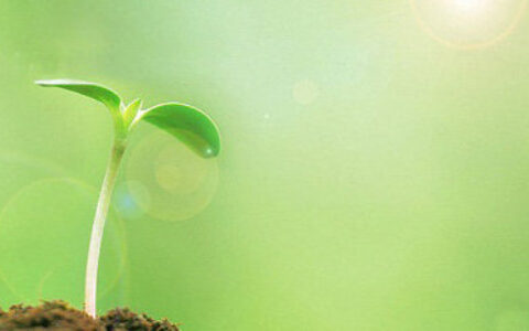 解决CP融资难题 游戏茶馆2015“春芽行动”报名开启