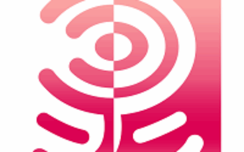 大连灵游科技发展有限公司