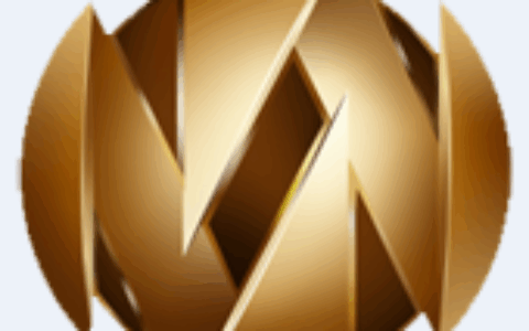 沈阳迅声雷诺网络有限公司