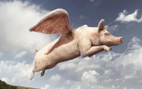 除了手游以外，游戏的下一个风口在哪里？